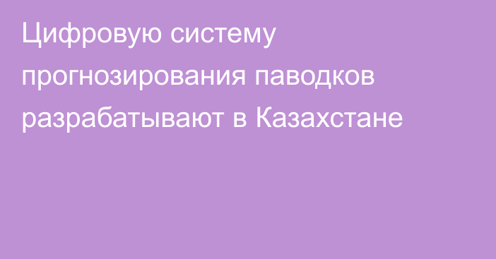 Цифровую систему прогнозирования паводков разрабатывают в Казахстане