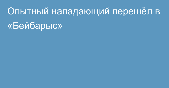 Опытный нападающий перешёл в «Бейбарыс»