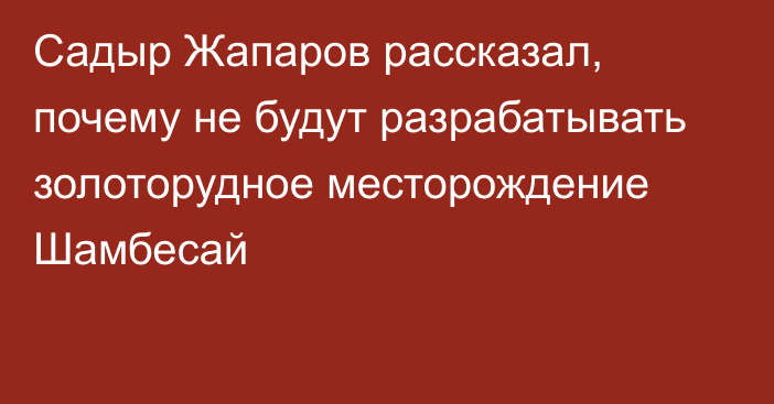 Садыр Жапаров рассказал, почему не будут разрабатывать золоторудное месторождение  Шамбесай