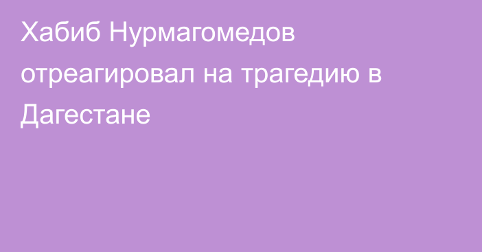 Хабиб Нурмагомедов отреагировал на трагедию в Дагестане