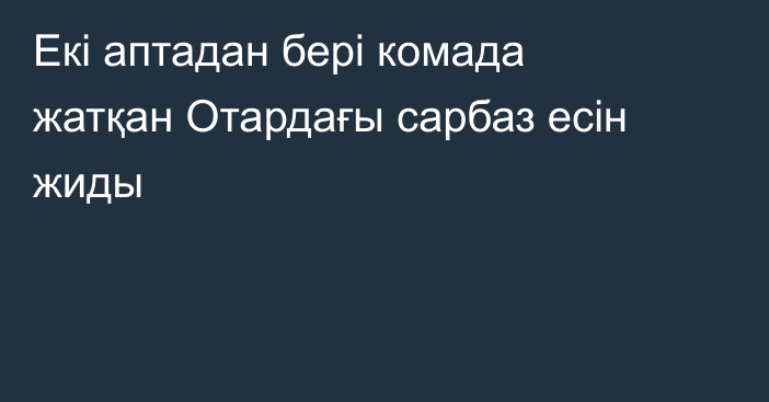 Екі аптадан бері комада жатқан Отардағы сарбаз есін жиды