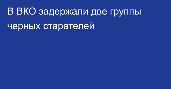 В ВКО задержали две группы черных старателей