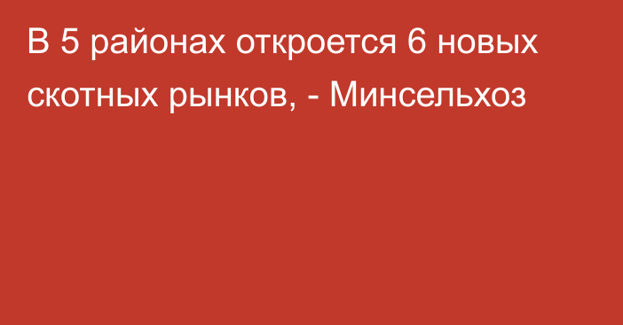 В 5 районах откроется 6 новых скотных рынков, - Минсельхоз