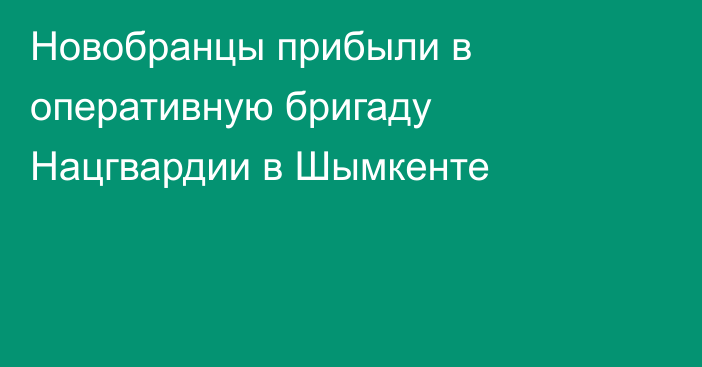 Новобранцы прибыли в оперативную бригаду Нацгвардии в Шымкенте