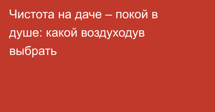 Чистота на даче – покой в душе: какой воздуходув выбрать