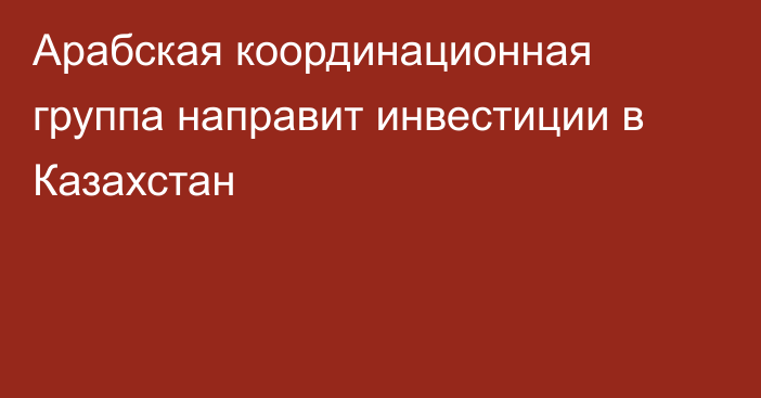 Арабская координационная группа направит инвестиции в Казахстан