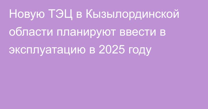Новую ТЭЦ в Кызылординской области планируют ввести в эксплуатацию в 2025 году
