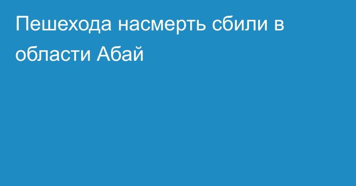 Пешехода насмерть сбили в области Абай