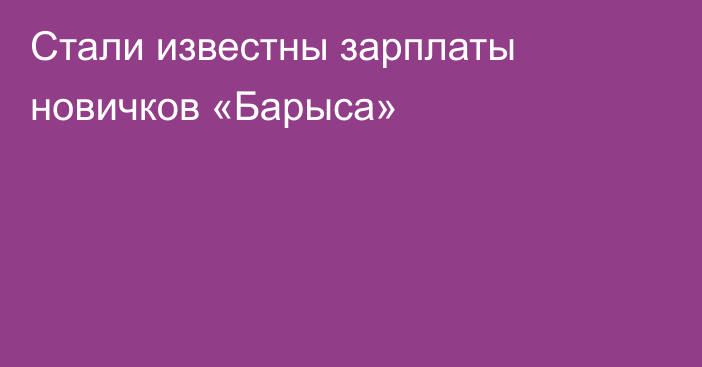 Стали известны зарплаты новичков «Барыса»