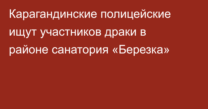 Карагандинские полицейские ищут участников драки в районе санатория «Березка»