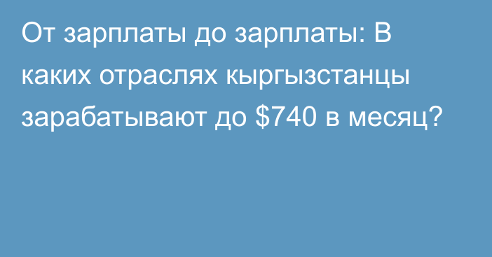 От зарплаты до зарплаты: В каких отраслях кыргызстанцы зарабатывают до $740 в месяц?