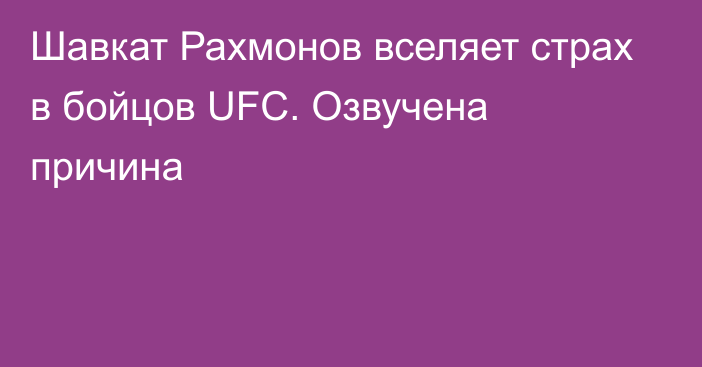 Шавкат Рахмонов вселяет страх в бойцов UFC. Озвучена причина