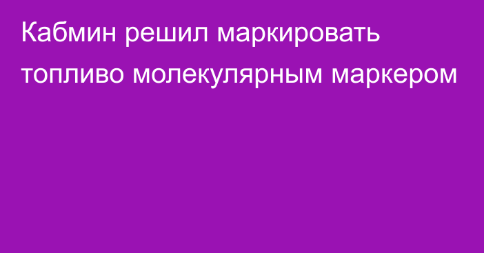 Кабмин решил маркировать топливо молекулярным маркером