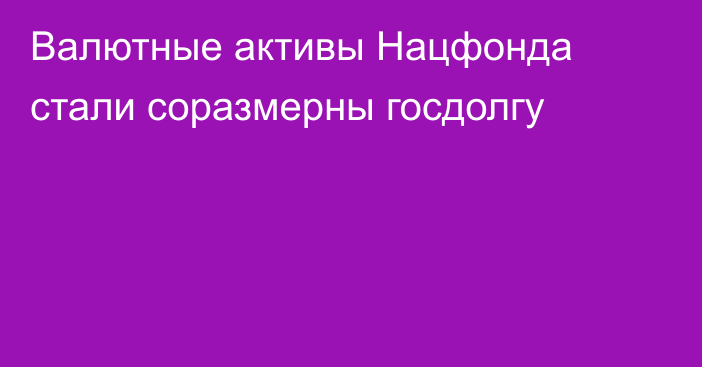 Валютные активы Нацфонда стали соразмерны госдолгу