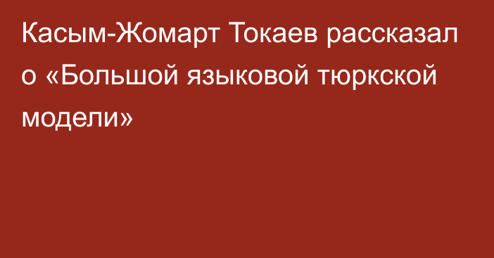 Касым-Жомарт Токаев рассказал о «Большой языковой тюркской модели»