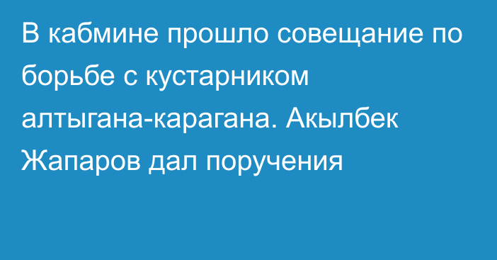 В кабмине прошло совещание по борьбе с кустарником алтыгана-карагана. Акылбек Жапаров дал поручения