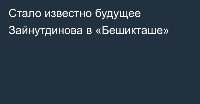 Стало известно будущее Зайнутдинова в «Бешикташе»