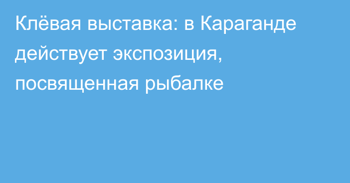 Клёвая выставка: в Караганде действует экспозиция, посвященная рыбалке