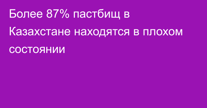 Более 87% пастбищ в Казахстане находятся в плохом состоянии