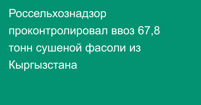 Россельхознадзор проконтролировал ввоз 67,8 тонн сушеной фасоли из Кыргызстана