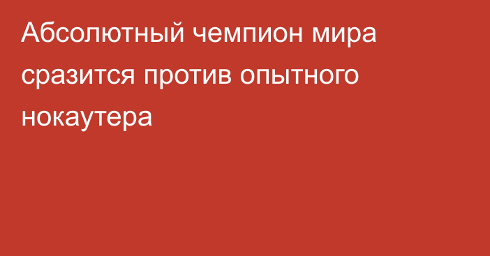 Абсолютный чемпион мира сразится против опытного нокаутера