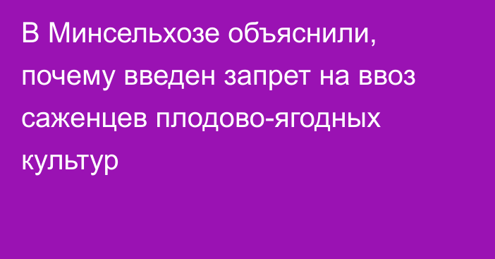 В Минсельхозе объяснили, почему введен запрет на ввоз саженцев плодово-ягодных культур