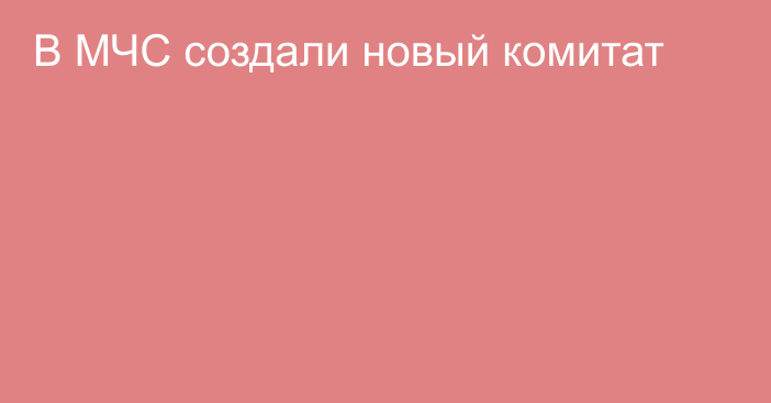 В МЧС создали новый комитат