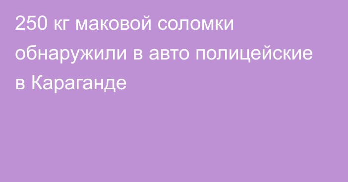 250 кг маковой соломки обнаружили в авто полицейские в Караганде