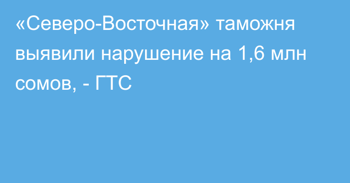 «Северо-Восточная» таможня выявили нарушение на 1,6 млн сомов, - ГТС