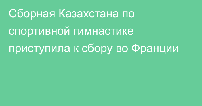 Сборная Казахстана по спортивной гимнастике приступила к сбору во Франции