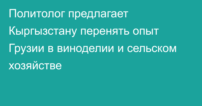 Политолог предлагает Кыргызстану перенять опыт Грузии в виноделии и сельском хозяйстве