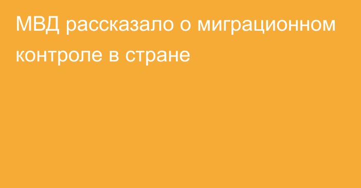 МВД рассказало о миграционном контроле в стране