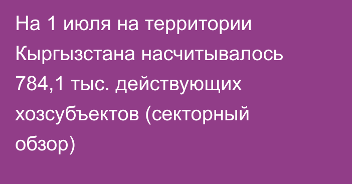 На 1 июля на территории Кыргызстана насчитывалось 784,1 тыс. действующих хозсубъектов (секторный обзор)