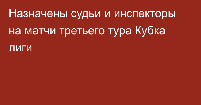 Назначены судьи и инспекторы на матчи третьего тура Кубка лиги