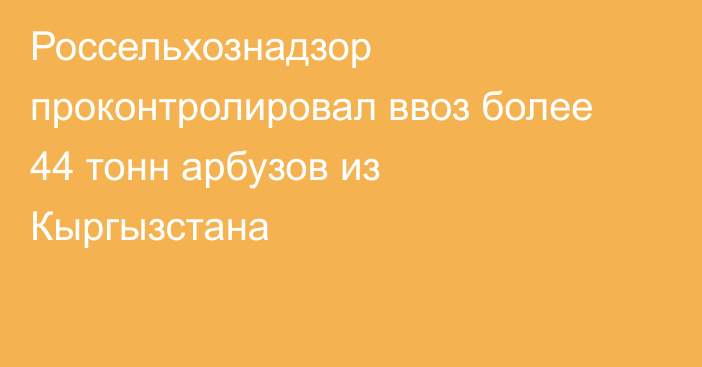 Россельхознадзор проконтролировал ввоз более 44 тонн арбузов из Кыргызстана