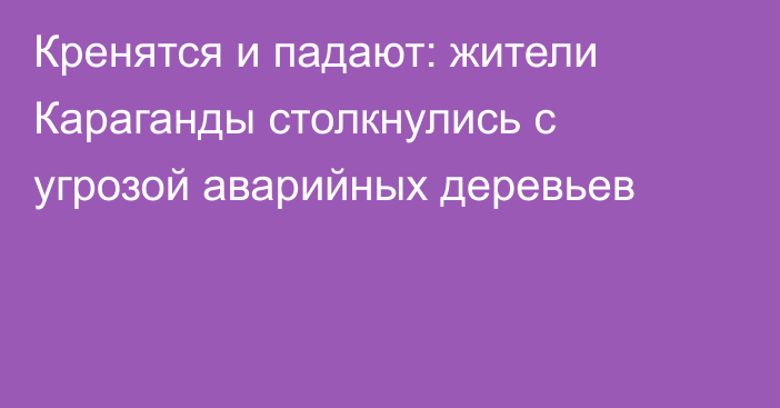 Кренятся и падают: жители Караганды столкнулись с угрозой аварийных деревьев