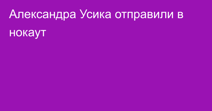 Александра Усика отправили в нокаут