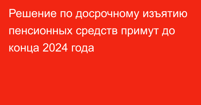 Решение по досрочному изъятию пенсионных средств примут до конца 2024 года