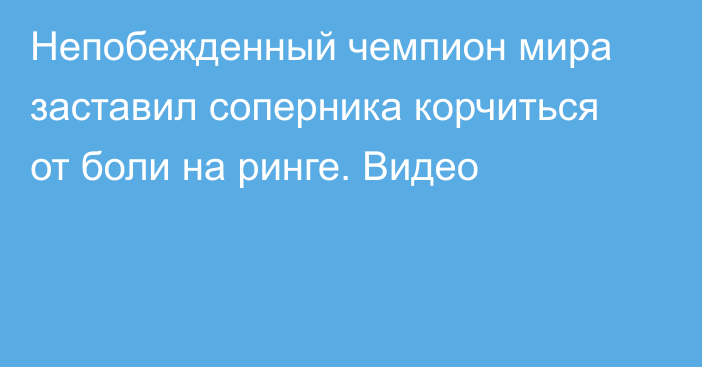 Непобежденный чемпион мира заставил соперника корчиться от боли на ринге. Видео