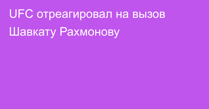 UFC отреагировал на вызов Шавкату Рахмонову