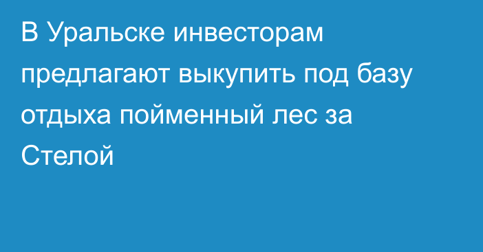 В Уральске инвесторам предлагают выкупить под базу отдыха пойменный лес за Стелой