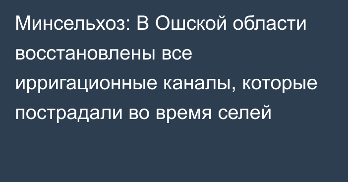 Минсельхоз: В Ошской области восстановлены все ирригационные каналы, которые пострадали во время селей