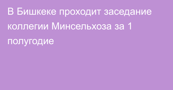 В Бишкеке проходит заседание коллегии Минсельхоза за 1 полугодие 