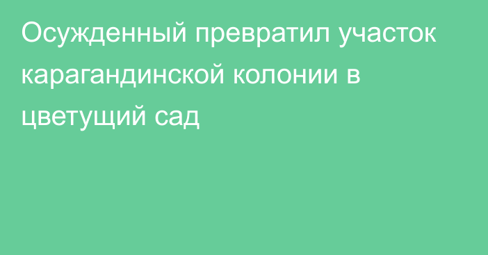 Осужденный превратил участок карагандинской колонии в цветущий сад