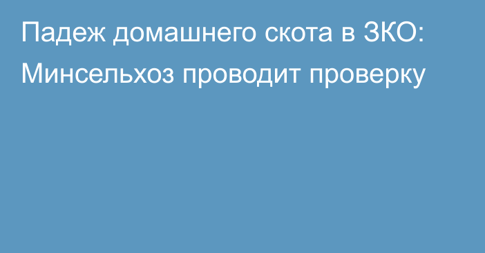 Падеж домашнего скота в ЗКО: Минсельхоз проводит проверку