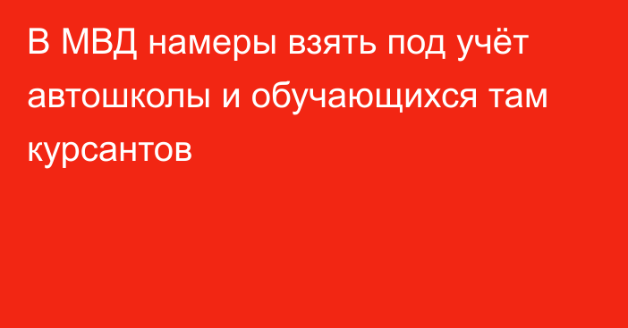 В МВД намеры взять под учёт автошколы и обучающихся там курсантов