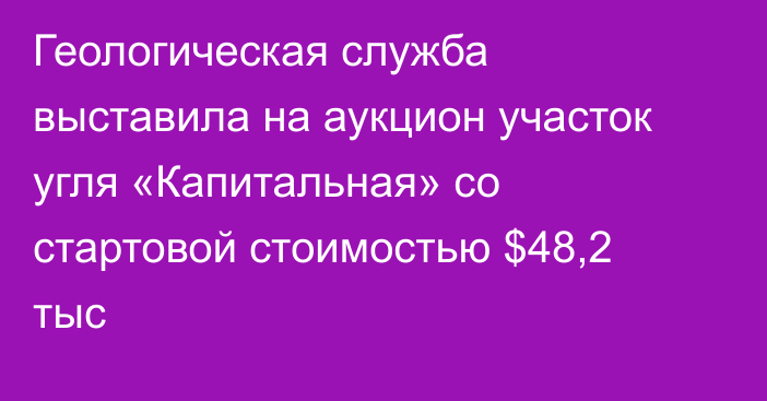 Геологическая служба выставила на аукцион участок угля «Капитальная» со стартовой стоимостью $48,2 тыс