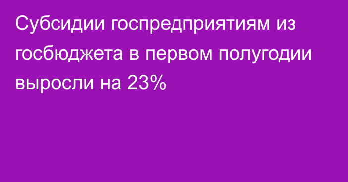 Субсидии госпредприятиям из госбюджета в первом полугодии выросли на 23%