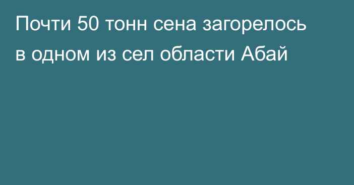 Почти 50 тонн сена загорелось в одном из сел области Абай