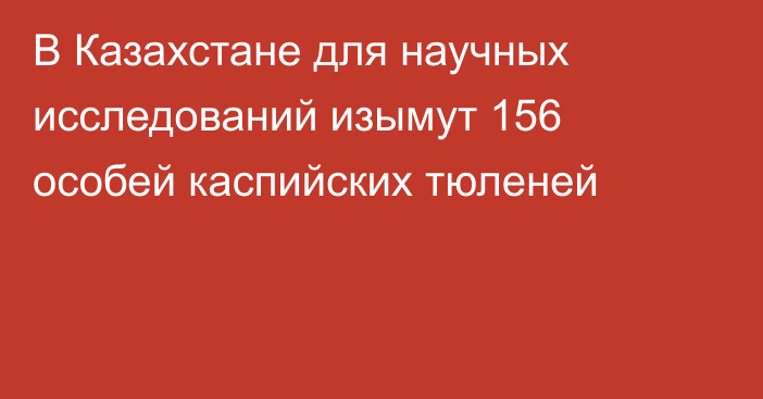 В Казахстане для научных исследований изымут 156 особей каспийских тюленей